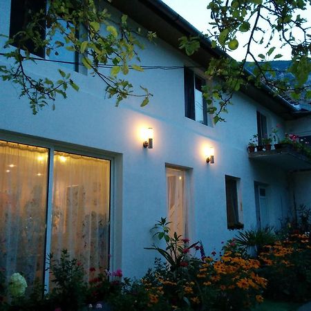 Pension Casa Anadam Băile Herculane Dış mekan fotoğraf