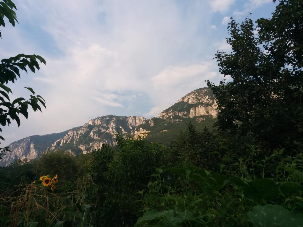 Pension Casa Anadam Băile Herculane Dış mekan fotoğraf