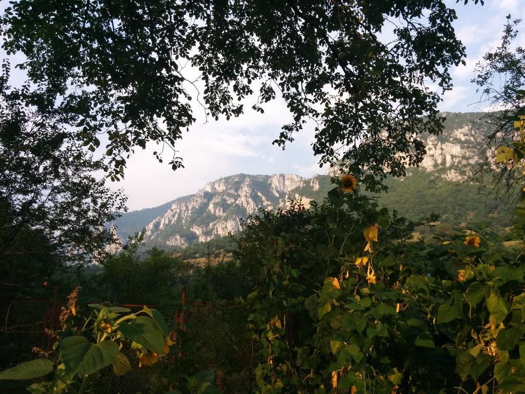 Pension Casa Anadam Băile Herculane Dış mekan fotoğraf