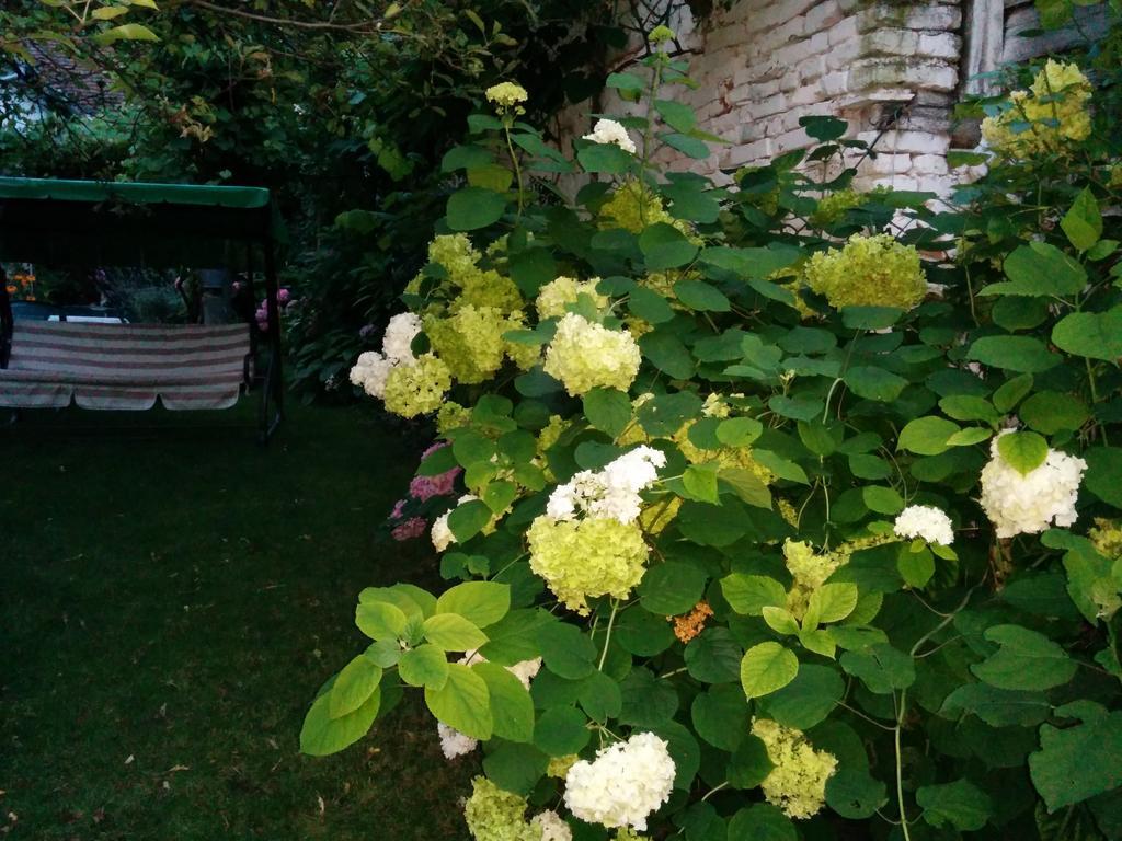Pension Casa Anadam Băile Herculane Dış mekan fotoğraf
