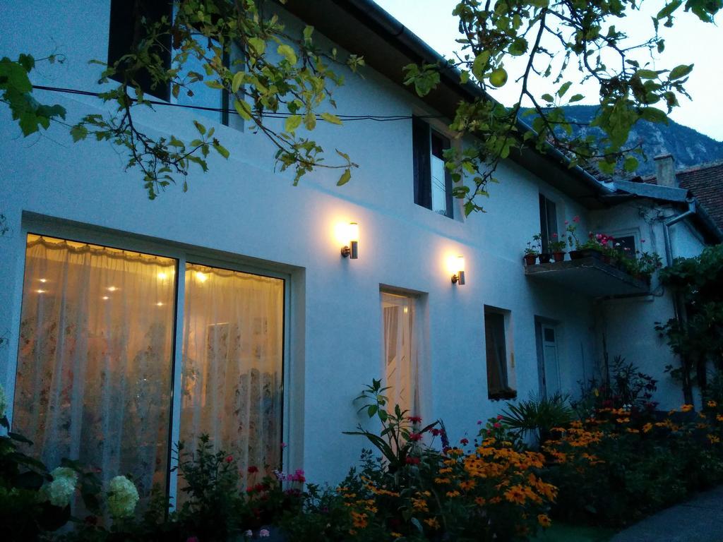 Pension Casa Anadam Băile Herculane Dış mekan fotoğraf