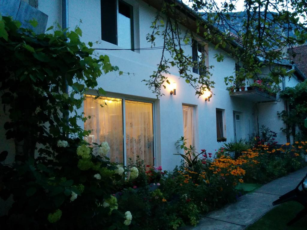 Pension Casa Anadam Băile Herculane Dış mekan fotoğraf