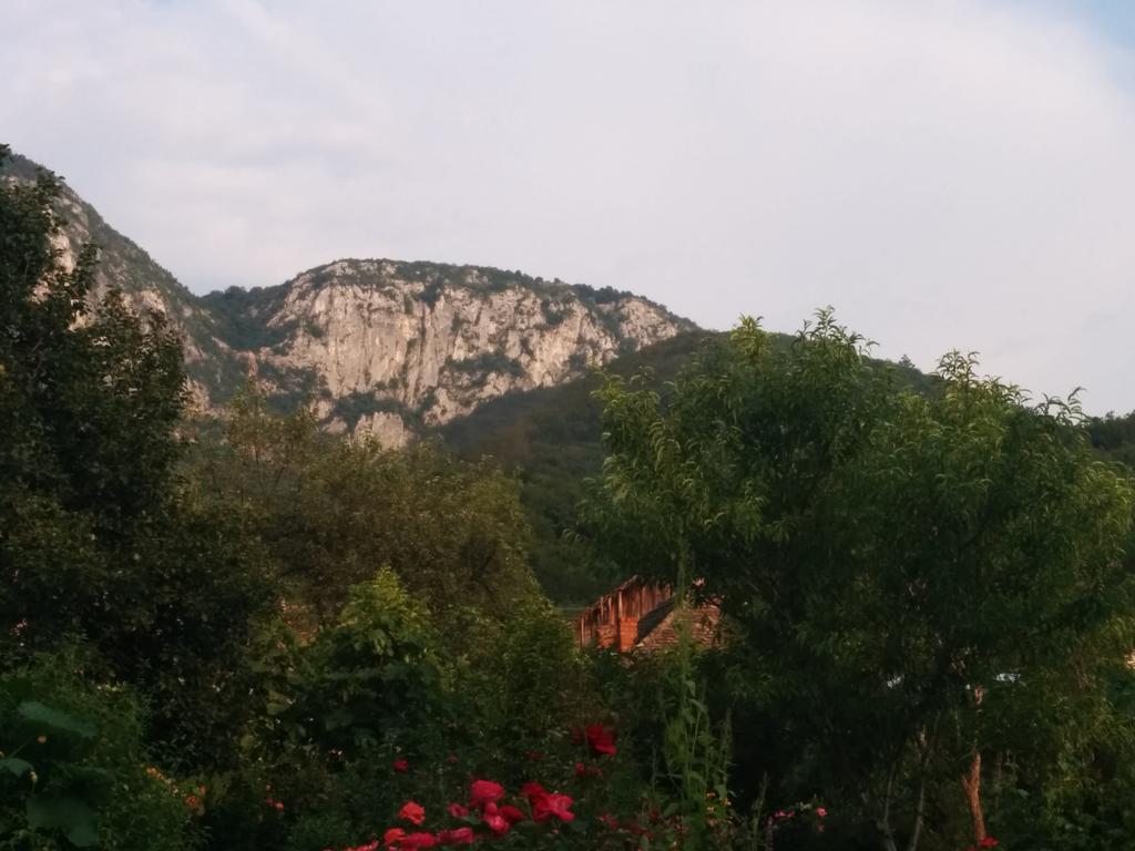 Pension Casa Anadam Băile Herculane Dış mekan fotoğraf